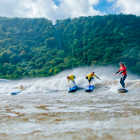 “surf